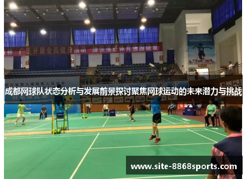成都网球队状态分析与发展前景探讨聚焦网球运动的未来潜力与挑战