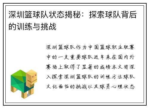 深圳篮球队状态揭秘：探索球队背后的训练与挑战